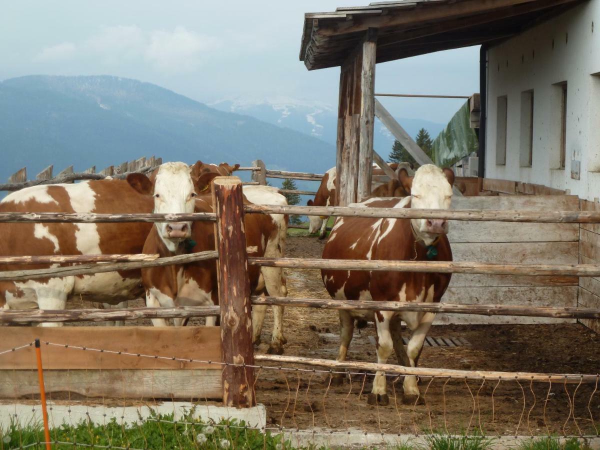 Appartamento Marerhof Dobbiaco Esterno foto